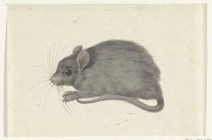 マウス、左へ 作： Jean Bernard