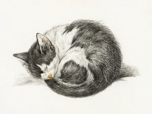 丸まって寝ている猫（1825年） 作： Jean Bernard