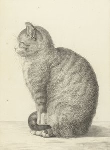 左に座っている猫。 1815
