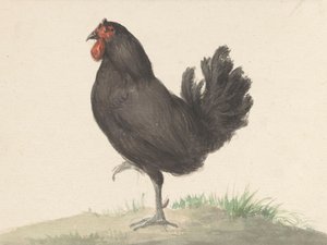 『立つ黒い鶏』（1775–1833） 作： Jean Bernard