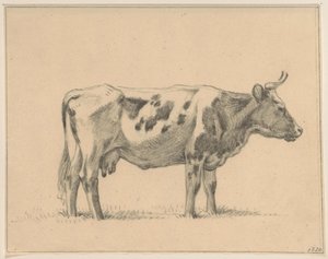 立っている牛、右側 作： Jean Bernard