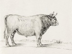 スタンディング・ブル 作： Jean Bernard
