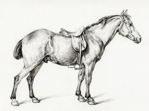 ジャン・ベルナール（1775–1883）作『立つ馬』 作： Jean Bernard