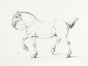 ステッピング・ホース（1775年～1833年） 作： Jean Bernard