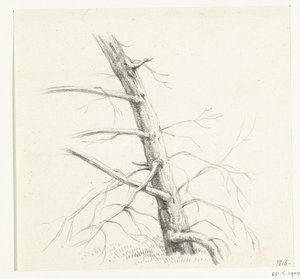 木の研究 作： Jean Bernard