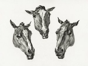 『三頭の馬の頭』（1812年） 作： Jean Bernard