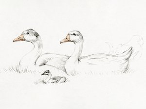 子連れのガチョウ2羽（1775–1833） 作： Jean Bernard
