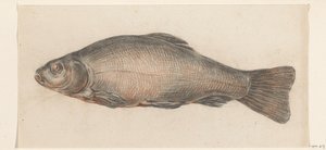 魚、左へ 作： Jean Bernard
