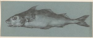 魚、左へ 作： Jean Bernard