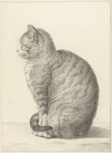 左に座っている猫