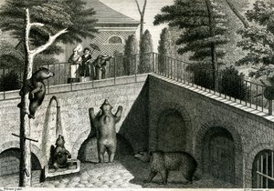 動物園の熊の巣