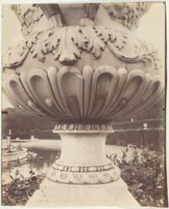 ヴェルサイユ、花瓶 作： Jean Eugène Auguste Atget