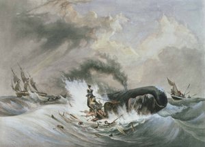 クジラ 作： ジャン・フランソワ（後）ガーネレイ