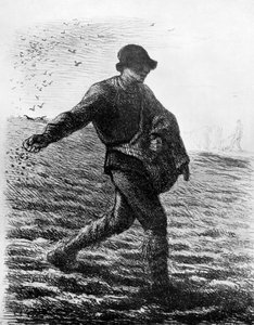 The Sower、c1850、1913。 作： Jean Francois Millet