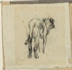 犬の研究 作： Jean Francois Millet