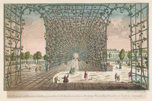 Gezicht op de loofgang van de tuin van de Governor te Pondicherry コロマンデル海岸の東インドの都市、ポンディシェリの知事の庭にある素晴らしいゆりかごの透視図 (オブジェクトのタイトル) 作： Jean François Daumont