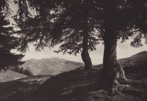 Rigi Staffel、Staffel の近くを歩く (b/w 写真) 作： Jean Gaberell