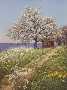 スイス：メイタイム（カラー写真） 作： Jean Gaberell