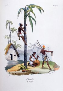 チャナール、1828 作： Jean Henri Marlet