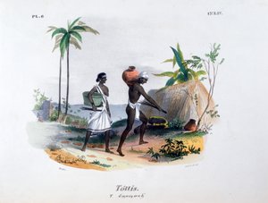 トッティス、1828 作： Jean Henri Marlet