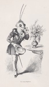動物の私生活と公の生活の場面からの古い蝶。 1837-47。 作： Jean Ignace Isidore Gérard