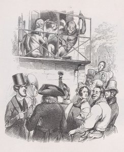 ベランジェ全集のオランウータン、1836年。 作： Jean Ignace Isidore Gérard