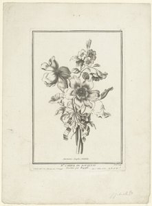 アネモネとヒルガオの花束 イソギンチャク、ヴォルビリス (オブジェクトのタイトル) IIe Cahier de Bouquets (連載タイトル) 作： Jean Jacques Avril (I)