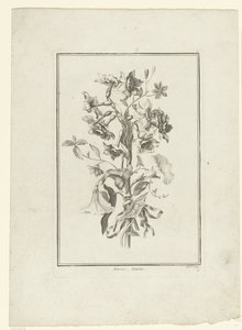 水仙とヒルガオの花束 Narcisse, Volubilis (オブジェクトのタイトル) IIe Cahier de Bouquets (連載タイトル) 作： Jean Jacques Avril (I)