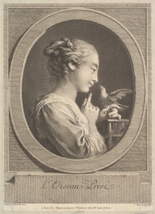 飼いならされた鳥、ca。 1769。 作： Jean Jacques Flipart