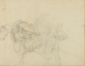 毛布を着る馬