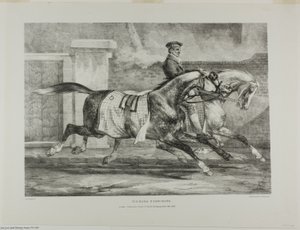 運動する馬たち」、第6巻、石と生から描かれた様々な題材より（イギリス組曲） 作： Jean Louis André Théodore Géricault