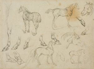 馬のスケッチ 作： Jean Louis André Théodore Géricault