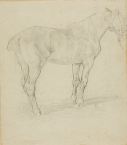スタンディング・ホース 作： Jean Louis André Théodore Géricault