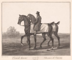 ライダーが 2 頭の馬をガイドします。 Chevaux de Carosse (オブジェクトのタイトル) 作： Jean Louis Darcis (attributed to)