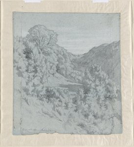 ラクー近くの谷にある太陽に照らされた木々 作： Jean Paul Flandrin