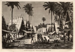 1854年から1862年にかけてのマレー諸島への航海を描いたJ.Moynetの絵をもとに、イギリス人のアルフレッド・ラッセル・ウォレス（1823-1913）が彫ったものです。 作： Jean Pierre Moynet