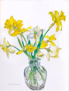 細い首の花瓶の水仙, 2006 (紙に水彩とインク)