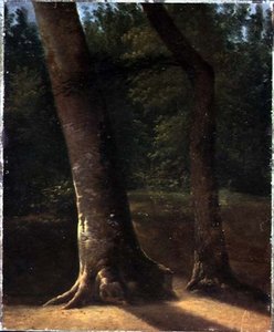木の習作」1815年頃（油彩・紙） 作： Jean Victor (attr. to) Bertin