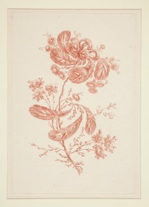 無題 (Ideal Flowers) 6点セットより 作： Jeanne Deny