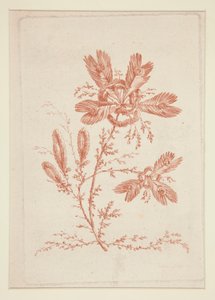 無題 (Ideal Flowers) 6点セットより 作： Jeanne Deny