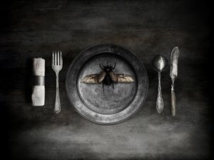 不気味なカブトムシの食事 作： Jeffrey Hummel