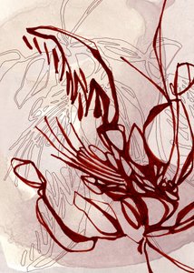  作： 