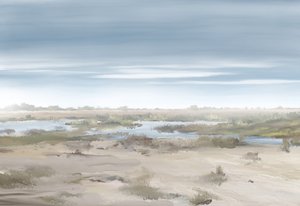 霧の立ち込める湿地帯の風景 作： Jenna Alheit