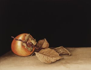 柿、2004（紙にトイレ）