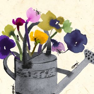 植物の中の蟻（水彩画） 作： Jenny Frean