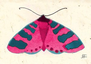 Pink Moth, 2024 (紙に水彩画 作： Jenny Frean