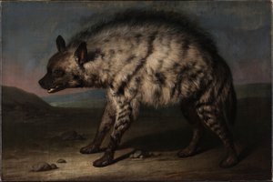 フレデリクスベア城の動物園のハイエナ 作： Jens Juel