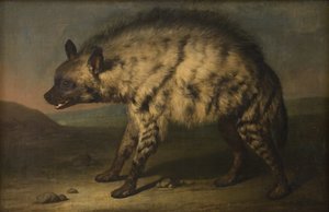 フレデリクスベア城の動物園のハイエナ 作： Jens Juel