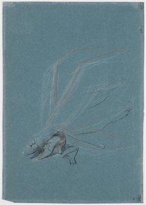 マダム・ド・プランジャンの肖像画のための脚と足の習作