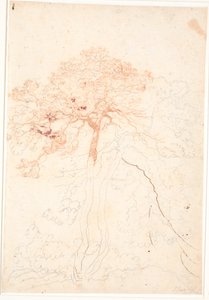 2本の大きな松の木の研究 作： Jens Juel